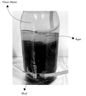 Mud battery in a glass jar: half filled with mud, then a layer of solidified agar, and filled to the top with clean tap water. Two cables are coming from the jar and are connected to an LED for illustration purposes.
