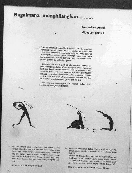 File:Api-Selected-pages-1.jpg